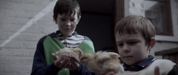 'Boogaloo and Graham'