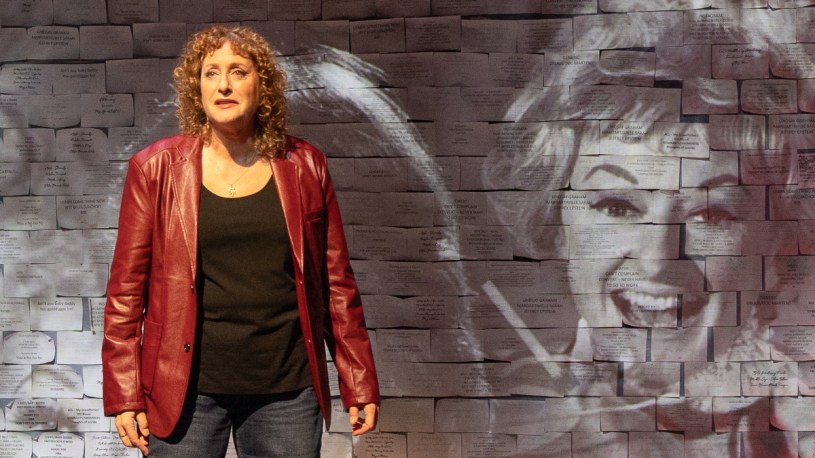 judy-gold-yes-i-can-say-that